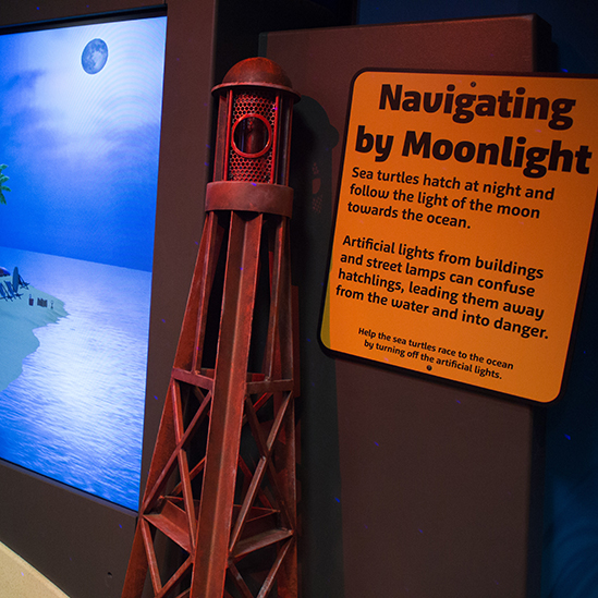 close up of the Navigating by Moonlight component